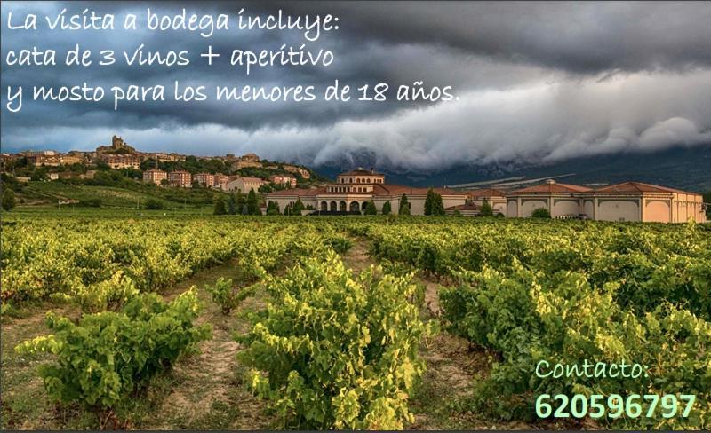 La Puerta De Viana, Con Desayuno, Piscina Y Posibilidad Visita A Bodega! Villa เบียนา ภายนอก รูปภาพ